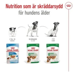 Royal Canin Mini Ageing Gravy våtfoder för hund 12x85g