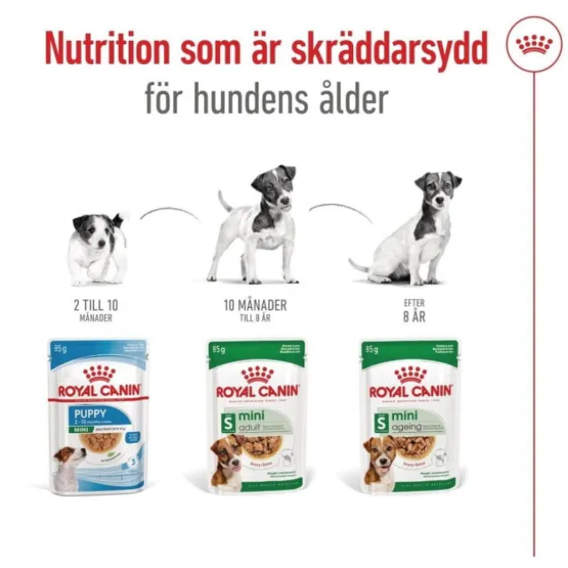 Royal Canin Mini Ageing Gravy våtfoder för hund 12x85g