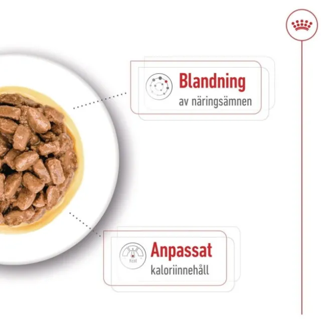 Royal Canin Mini Ageing Gravy våtfoder för hund 12x85g