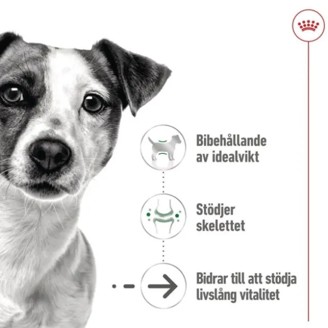 Royal Canin Mini Ageing Gravy våtfoder för hund 12x85g