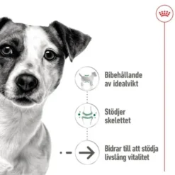 Royal Canin Mini Ageing Loaf våtfoder för hund 195 g