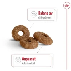 Royal Canin Mini Ageing 12+ torrfoder för hund