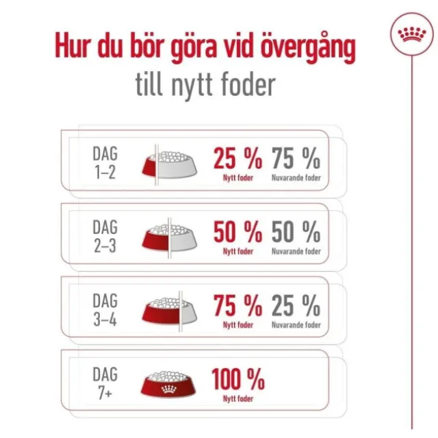 Royal Canin Mini Ageing 12+ torrfoder för hund