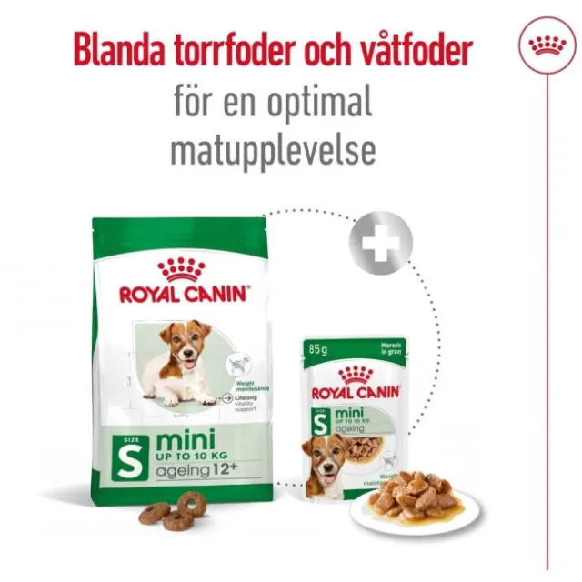 Royal Canin Mini Ageing 12+ torrfoder för hund