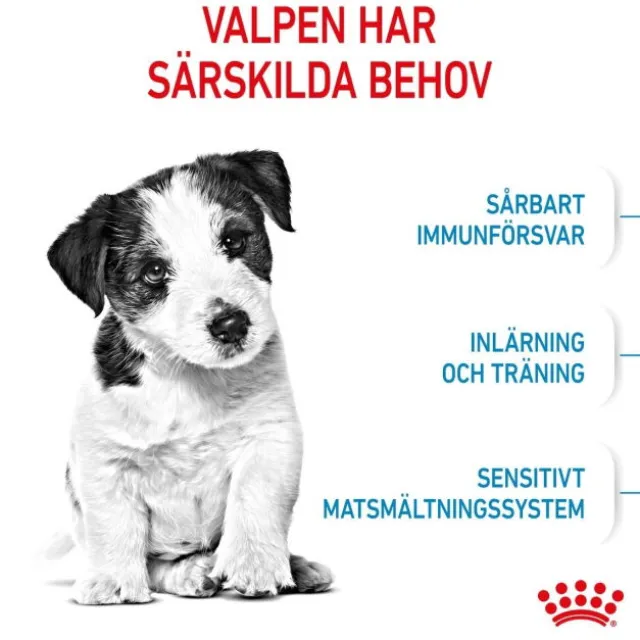 Royal Canin Mini Puppy torrfoder för hundvalp