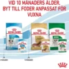Royal Canin Mini Puppy våtfoder för hundvalp 12x85g