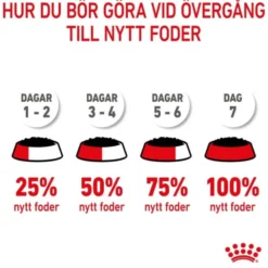 Royal Canin Mini Puppy våtfoder för hundvalp 12x85g