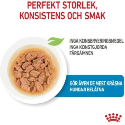 Royal Canin Mini Puppy våtfoder för hundvalp 12x85g