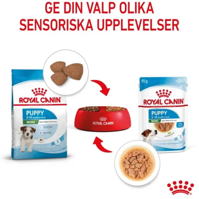 Royal Canin Mini Puppy våtfoder för hundvalp 12x85g