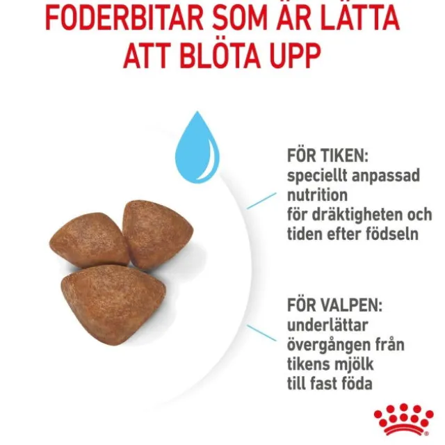 Royal Canin Mini Starter torrfoder för hund och hundvalp
