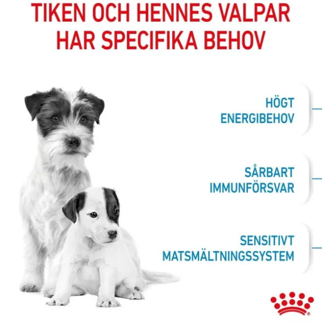 Royal Canin Mini Starter torrfoder för hund och hundvalp