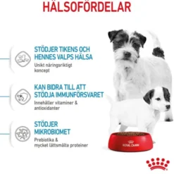 Royal Canin Mini Starter torrfoder för hund och hundvalp