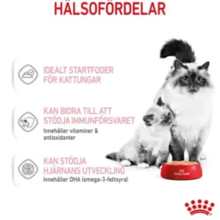 Royal Canin Mother & Babycat mousse våtfoder för katt och kattunge 195 g