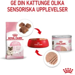 Royal Canin Mother & Babycat mousse våtfoder för katt och kattunge 195 g