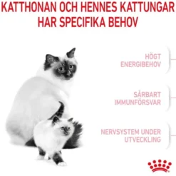 Royal Canin Mother & Babycat torrfoder för katt och kattunge
