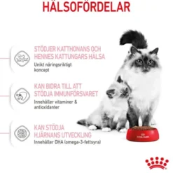 Royal Canin Mother & Babycat torrfoder för katt och kattunge