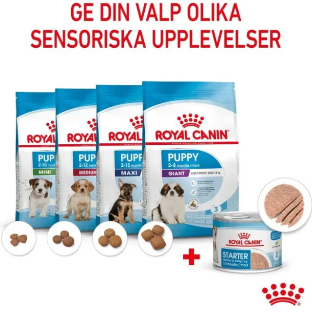 Royal Canin Mother & Babydog Starter Mousse våtfoder för hund och hundvalp 195 g