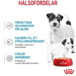 Royal Canin Mother & Babydog Starter Mousse våtfoder för hund och hundvalp 195 g