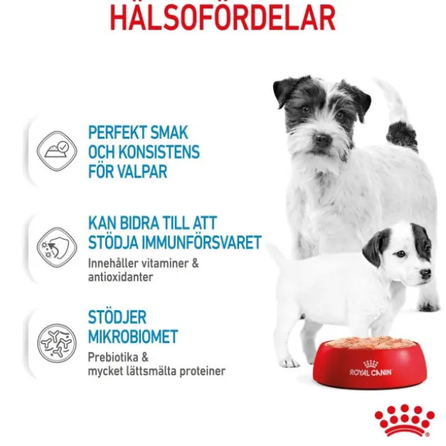 Royal Canin Mother & Babydog Starter Mousse våtfoder för hund och hundvalp 195 g