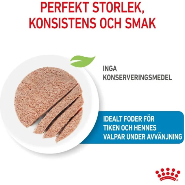Royal Canin Mother & Babydog Starter Mousse våtfoder för hund och hundvalp 195 g