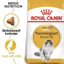 Royal Canin Norwegian Forest Cat Adult torrfoder för katt