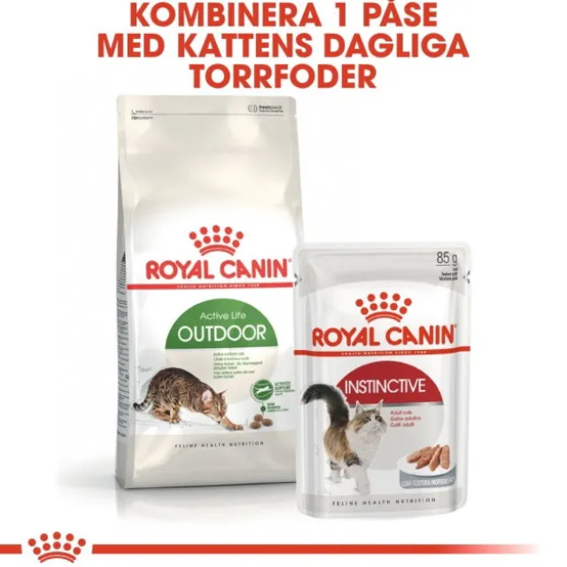Royal Canin Outdoor Adult torrfoder för katt