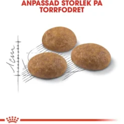 Royal Canin Outdoor Adult torrfoder för katt