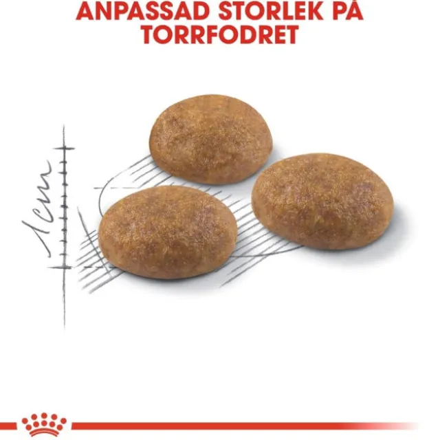 Royal Canin Outdoor Adult torrfoder för katt