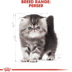 Royal Canin Persian Kitten torrfoder för kattunge