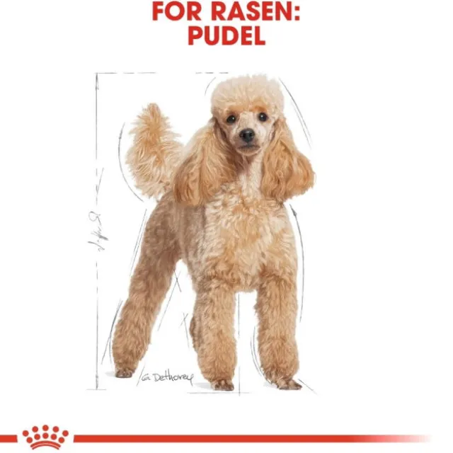 Royal Canin Poodle Adult torrfoder för hund
