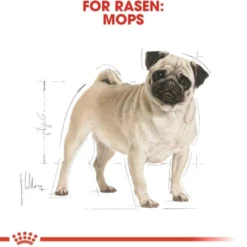 Royal Canin Pug Adult torrfoder för hund