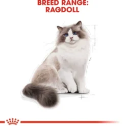 Royal Canin Ragdoll Adult torrfoder för katt