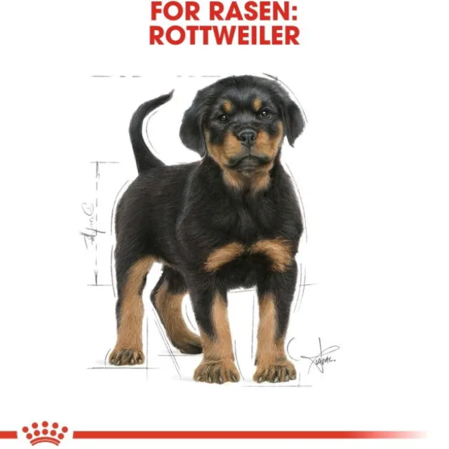 Royal Canin Rottweiler Puppy torrfoder för hundvalp