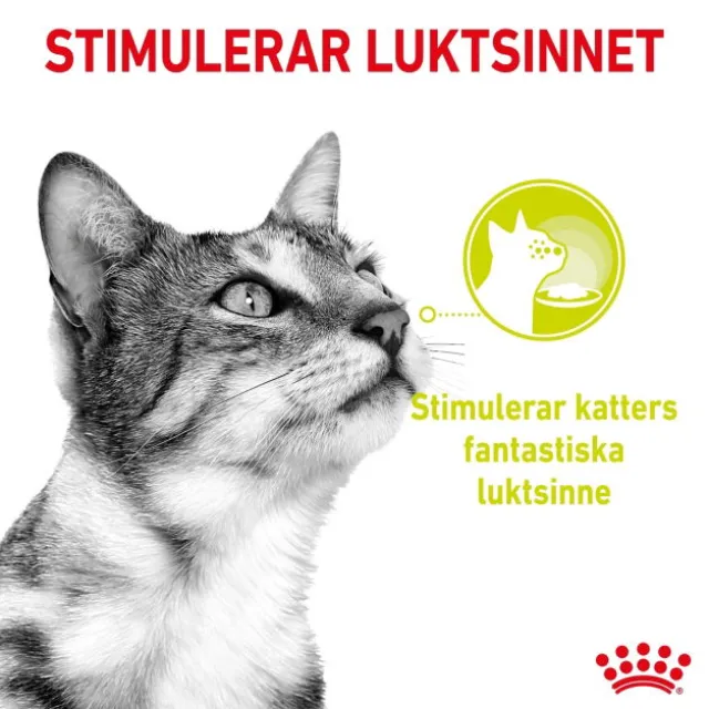 Royal Canin Sensory Mixed Box Gravy Adult våtfoder för katt 12x85 g