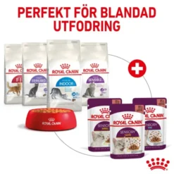 Royal Canin Sensory Mixed Box Gravy Adult våtfoder för katt 12x85 g