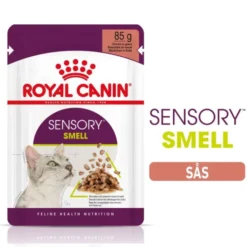 Royal Canin Sensory Smell Gravy Adult våtfoder för katt 12x85 g