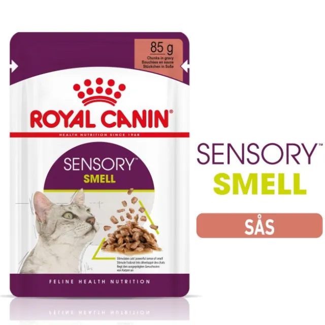 Royal Canin Sensory Smell Gravy Adult våtfoder för katt 12x85 g