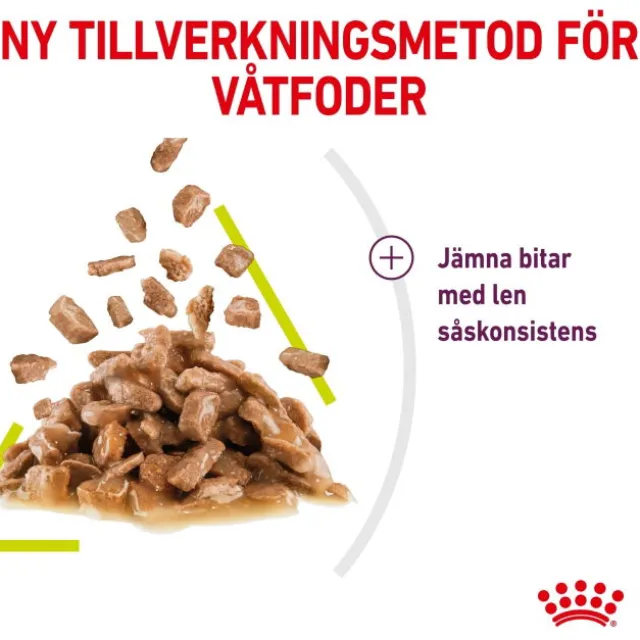Royal Canin Sensory Smell Gravy Adult våtfoder för katt 12x85 g