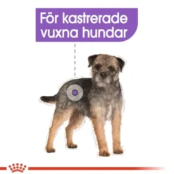 Royal Canin Sterilised Adult Loaf våtfoder för hund 12x85 g