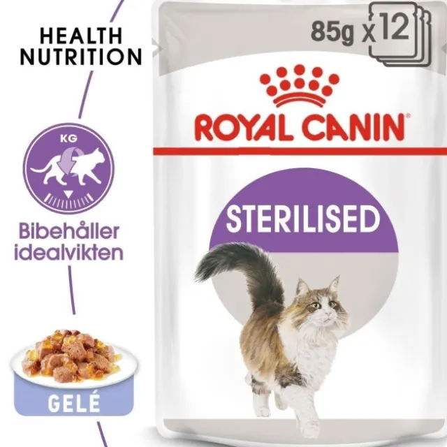 Royal Canin Sterilised Jelly Adult våtfoder för katt 12x85 g