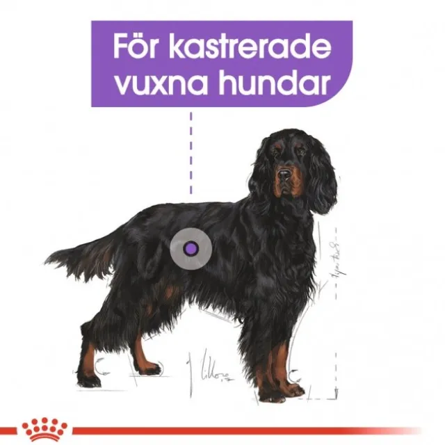 Royal Canin Sterilised Maxi Adult torrfoder för hund