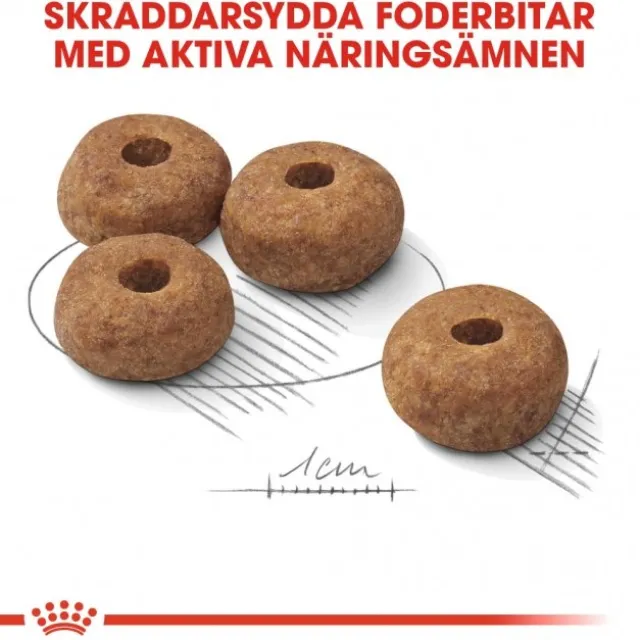 Royal Canin Sterilised Medium Adult torrfoder för hund