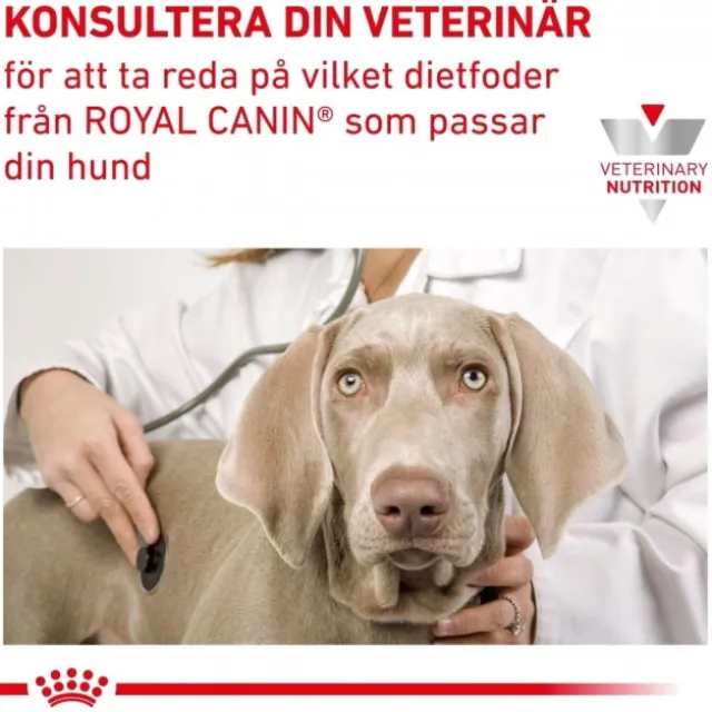 Royal Canin Veterinary Diets Dog Renal Small Dogs 3,5 kg
