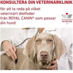 Royal Canin Veterinary Diets Dog Derma Sensitivity Control Chicken & Rice 12 x 420 g