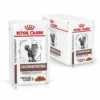 Royal Canin Veterinary Diets Cat Gastrointestinal Moderate Calorie 12x85 g
