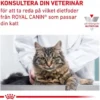 Royal Canin Veterinary Diets Cat Early Renal Gravy 12x85 g
