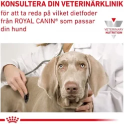 Royal Canin Veterinary Diets Puppy Gastrointestinal 12 x 195 g