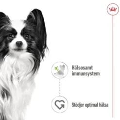 Royal Canin X-Small Adult Gravy våtfoder för hund 12 x 85 g