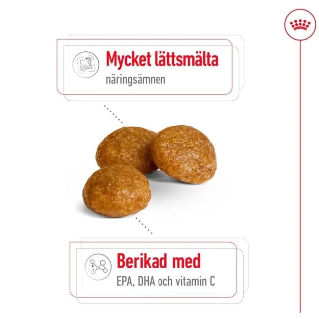 Royal Canin X-Small Adult torrfoder för hund