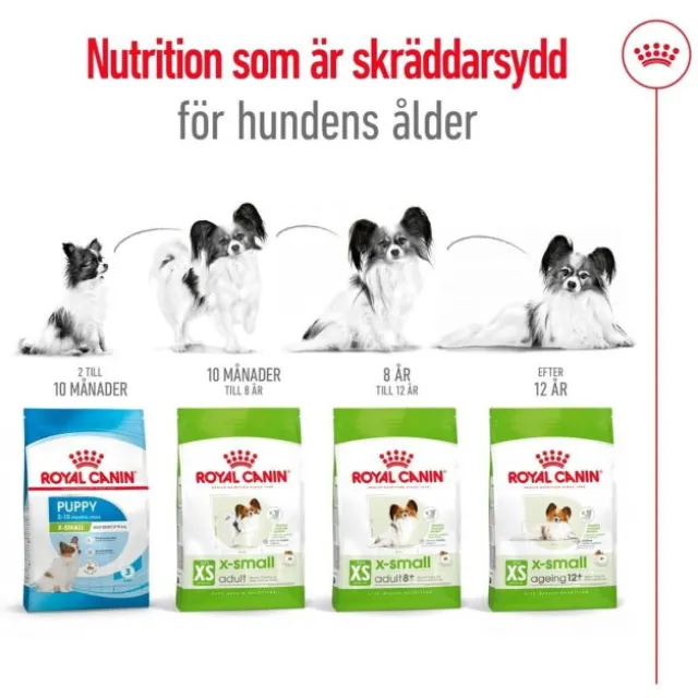 Royal Canin X-Small Ageing 12+ torrfoder för hund